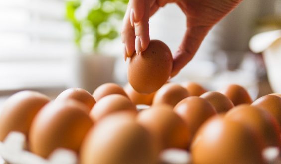 How do you tell if an egg is fresh?