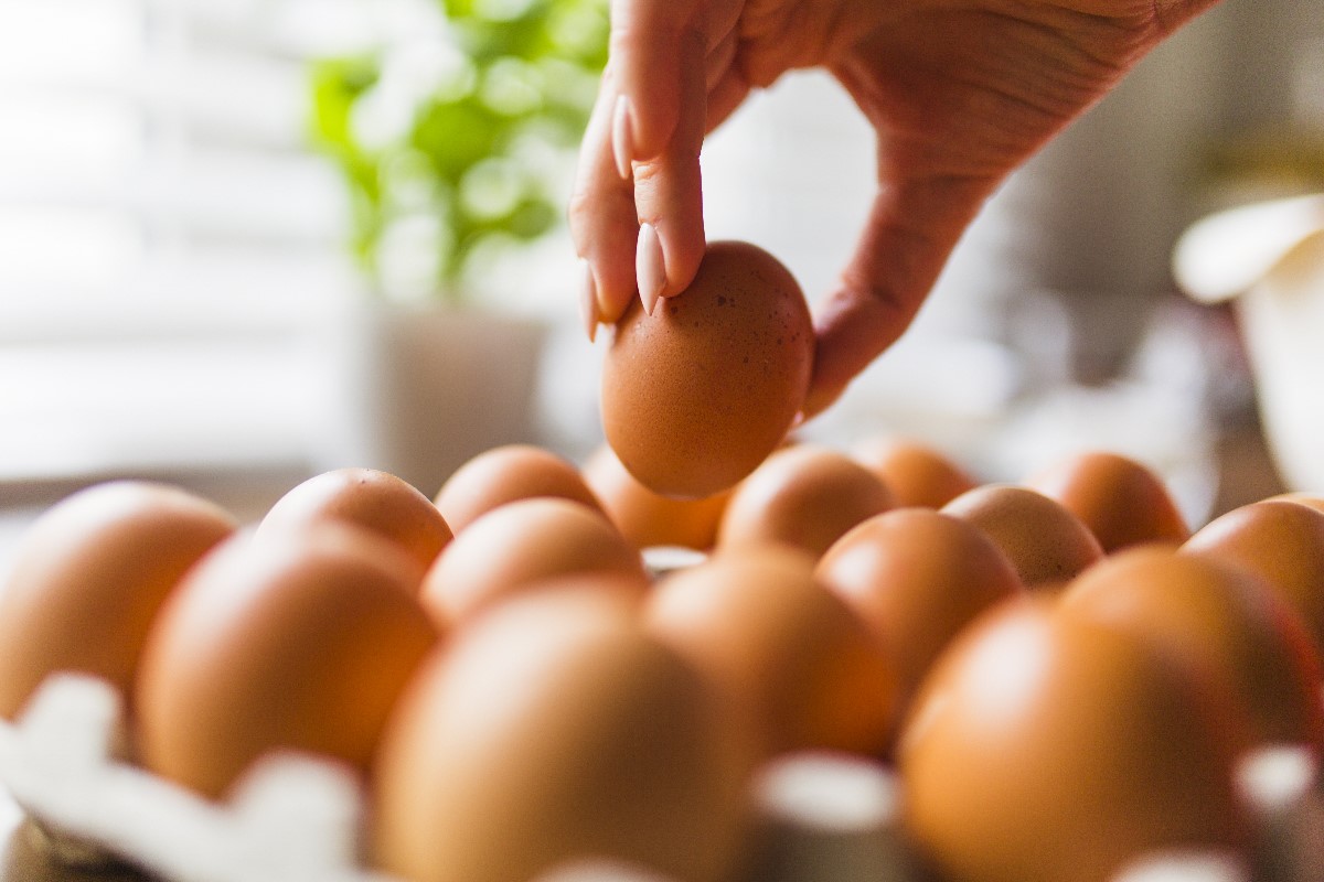 How do you tell if an egg is fresh?