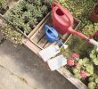 How to water flowers during the vacations?