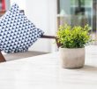 How to care for artificial plants in the apartment?