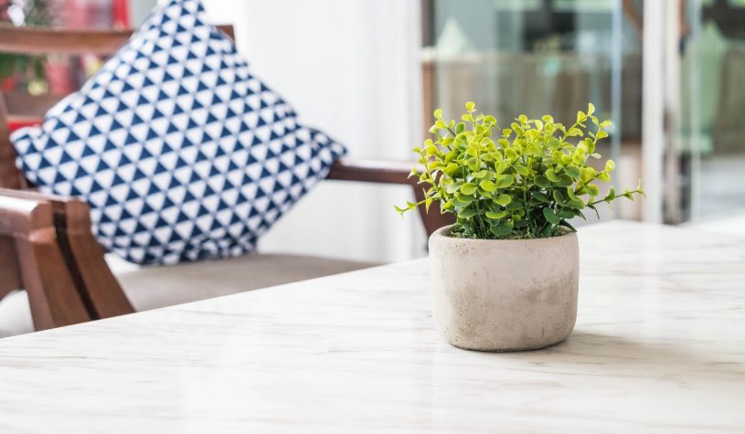 How to care for artificial plants in the apartment?