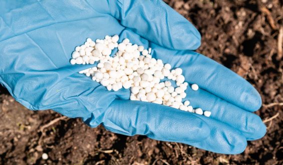 What is perlite used for?