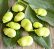 How to cook broad beans?
