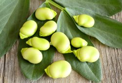 How to cook broad beans?