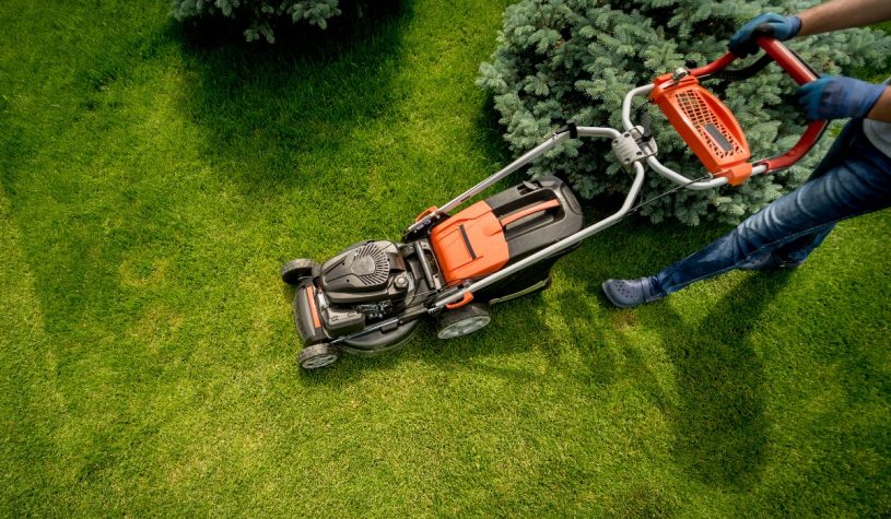 How and when should you mow your lawn?