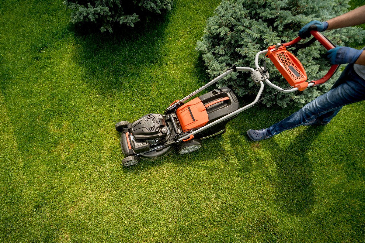 How and when should you mow your lawn?