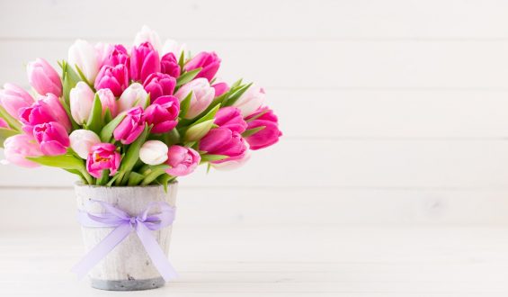 How to prolong the freshness of cut flowers?