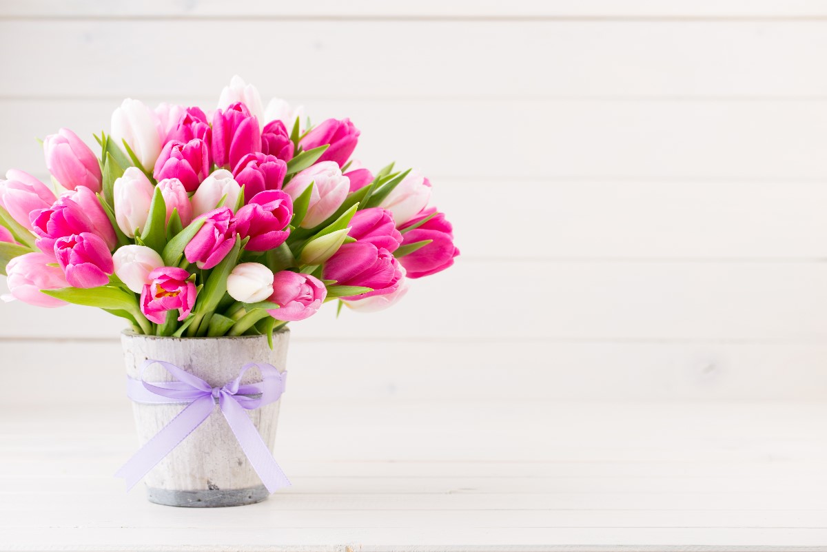 How to prolong the freshness of cut flowers?