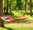 How to install a hammock?