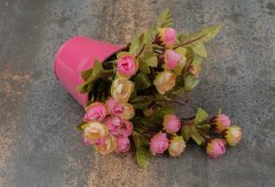 How to dry roses?