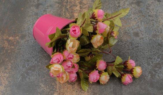 How to dry roses?