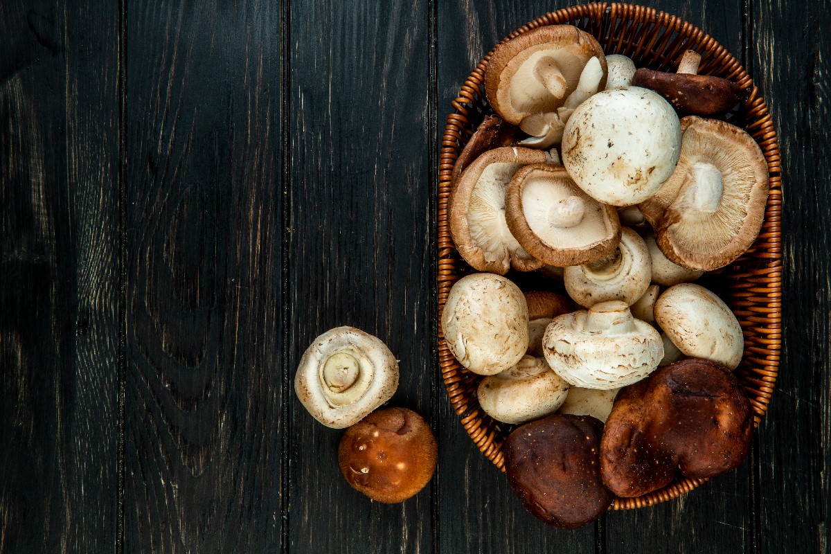 How to freeze mushrooms?