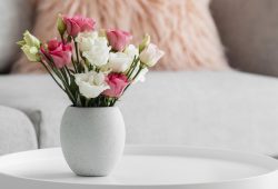 How to extend the life of cut flowers?