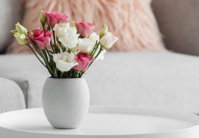 How to extend the life of cut flowers?