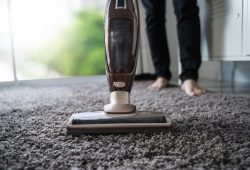 Which vacuum cleaner to choose – bagless, bagged, or automatic?