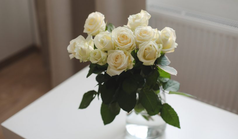 How to extend the life of roses?