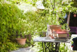 How to arrange the garden in summer?