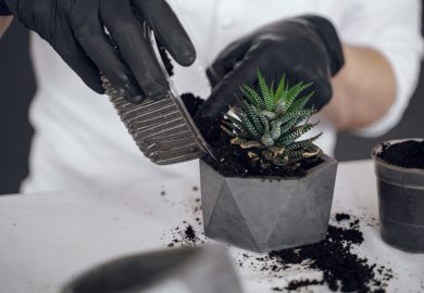 Concrete pot – how to make one?