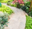 How to make a path in the garden at a low cost?