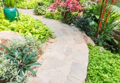 How to make a path in the garden at a low cost?