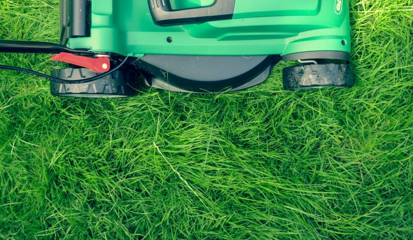 Petrol or electric mowers?