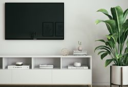 OLED or QLED – which TV to choose and what does it mean?