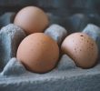 How to buy good quality eggs?