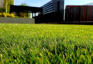 How to fertilize the lawn?