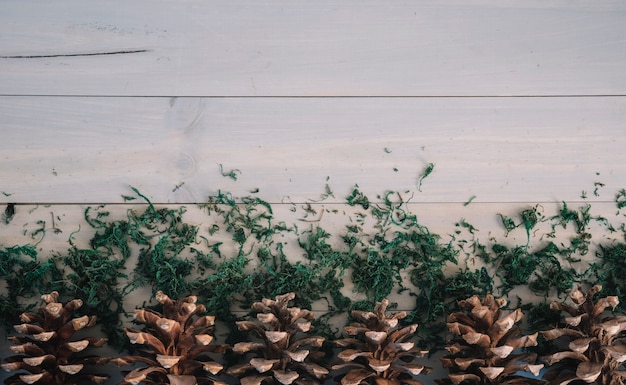 How Can You Enhance Your Garden’s Aesthetic with Wooden Structures?